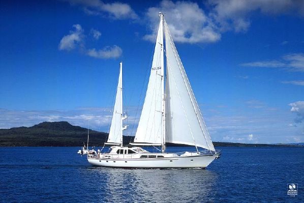 Alloy Yachts New Zealand