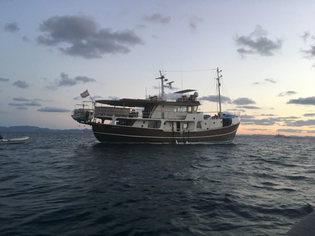 SeaIndependent