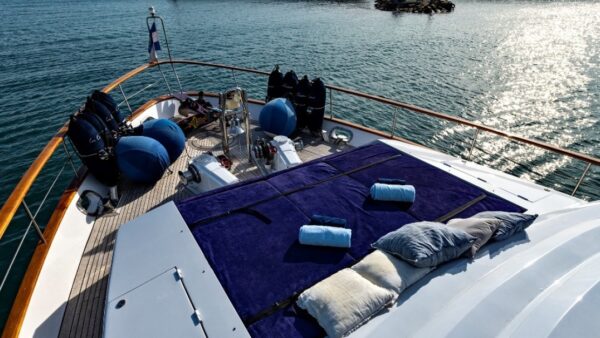 M/Y Lowland Netship 97 | 30m - Image 4