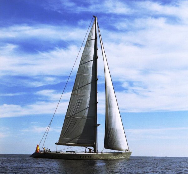 SYL - Image 3