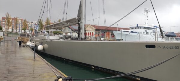 SYL - Image 12